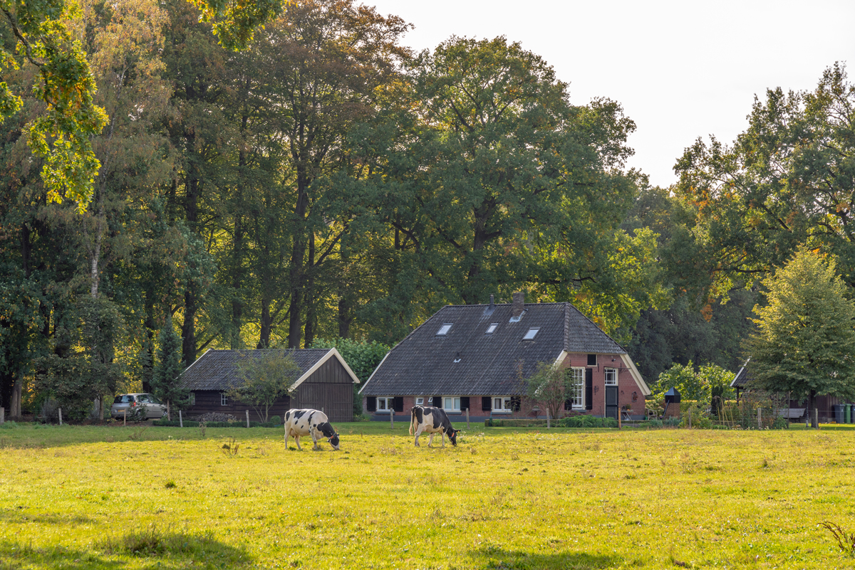 Fietsroute Door de Graafschap | Fietsen123