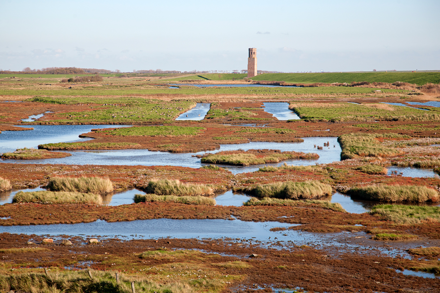 Fietsroute Natuurlijk Schouwen-Duiveland | Fietsen123