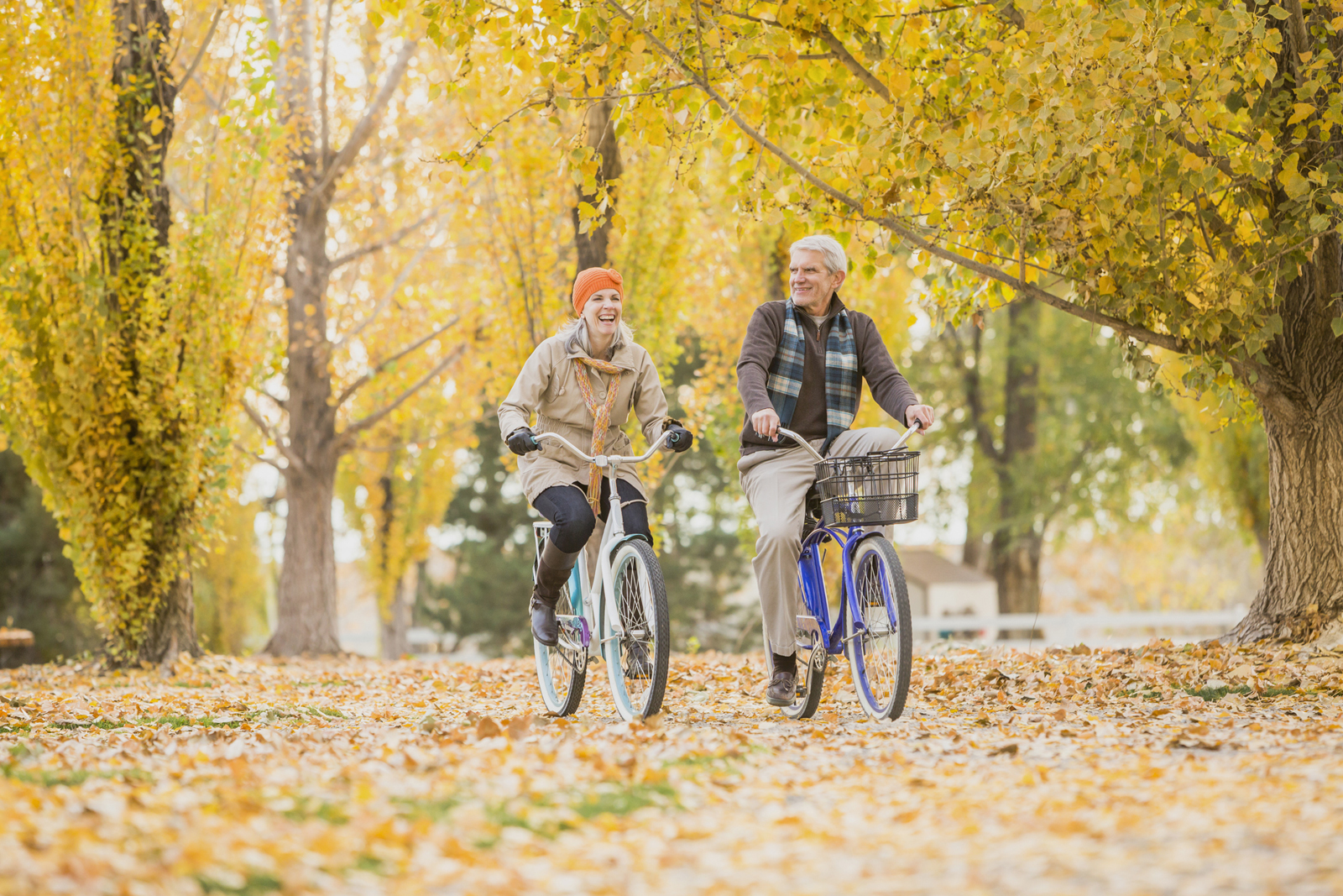 Vijf Routes Om De Herfst Te Vieren Fietsen123