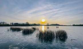 Beeld bij Nationaal Park Weerribben-Wieden