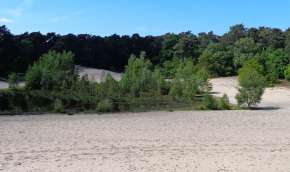 Beeld bij Nationaal Park Utrechtse Heuvelrug