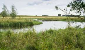 Beeld bij Steenbergsche Vliet