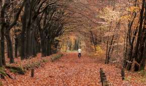 Beeld bij Lekker en veilig fietsen in de herfst