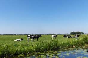 Beeld bij Fietsknooppuntenatlas