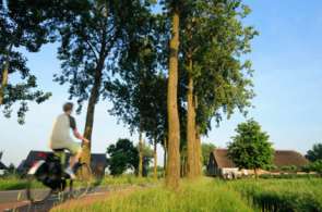 Beeld bij Gelderland en Belgisch Limburg fietsprovincies van het jaar 2010