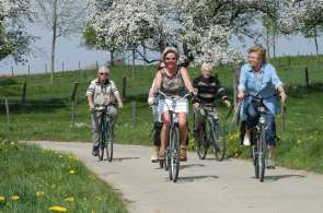 Beeld bij Fietsen in Haspengouw: van bloesem tot oogst