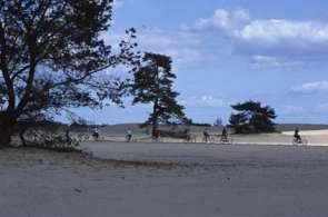 Beeld bij Audiofietstocht Nationaal Park De Hoge Veluwe