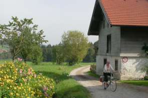 Beeld bij Mozart, bergen, dalen en Donau, een fietsvakantie