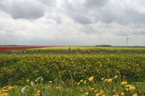 Beeld bij Flevoland maakt Nederlands fietsknooppuntennetwerk compleet