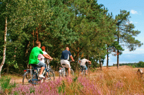 Beeld bij Onderzoek: fietstochten van 30 tot 50 kilometer zijn favoriet