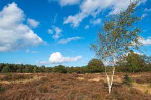 Beeld bij Mooi weer: fietsen langs Vechtse terrasjes en door schaduwrijk bos