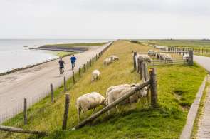 Beeld bij Fietsersbond trekt advies over coronaproof fietsroutes in