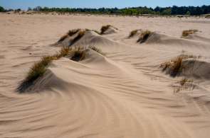 Beeld bij Zes keer door de duinen