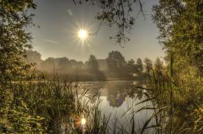 Beeld bij Natuurreservaat De Doort