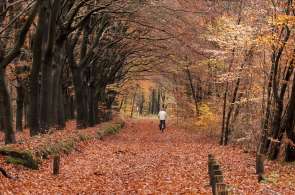 Beeld bij Lekker en veilig fietsen in de herfst