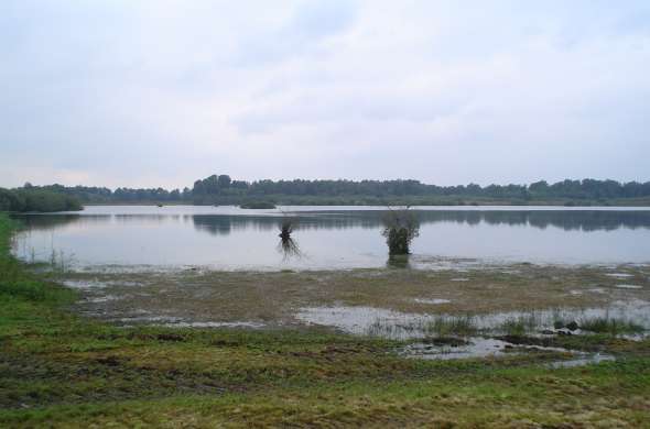 Beeld bij Sarsven en de Banen