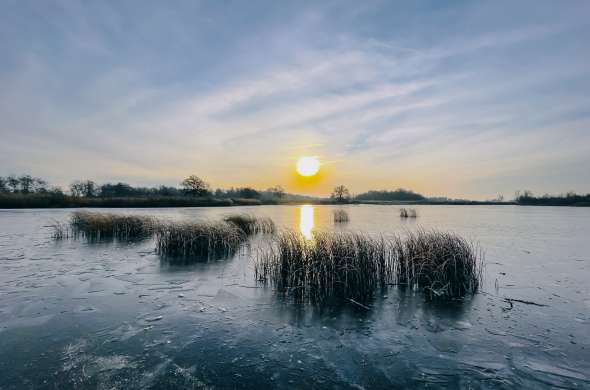 Beeld bij Nationaal Park Weerribben-Wieden