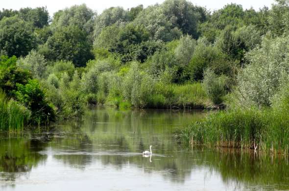 Beeld bij Fietsen en wandelen in het Horsterwold