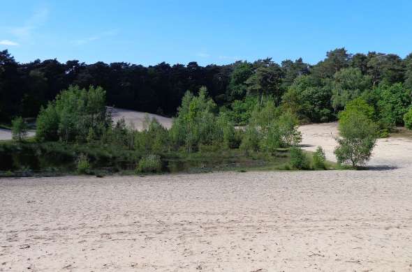 Beeld bij Nationaal Park Utrechtse Heuvelrug