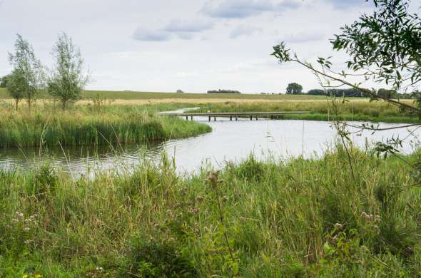 Beeld bij Steenbergsche Vliet